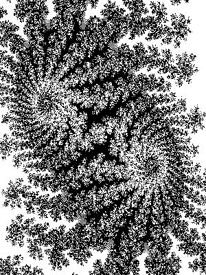 FDoppelstrudel-1-Wo warst Du am Geburtstag.gif (15551 Byte)