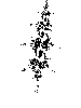 Kra34-thmb-Auch hier eine Krawatte.gif (366 Byte)